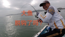 2025新澳天天正版免费观看合并新奥正版免费料大全-重点释义、解释与落实,警惕不实的钓鱼钩