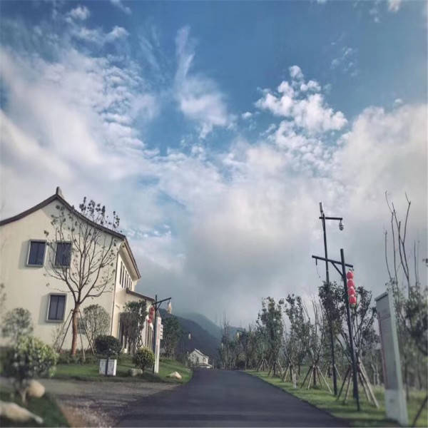 第199页