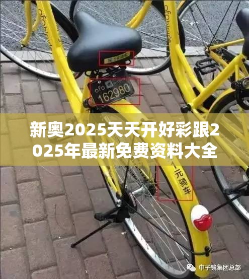 新奥2025天天开好彩跟2025年最新免费资料大全-重点释义、解释与落实,警惕不实的钓鱼钩