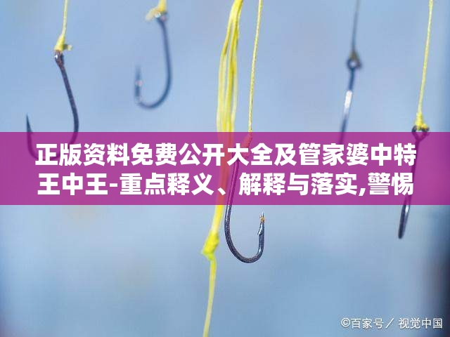 正版资料免费公开大全及管家婆中特王中王-重点释义、解释与落实,警惕不实的钓鱼钩