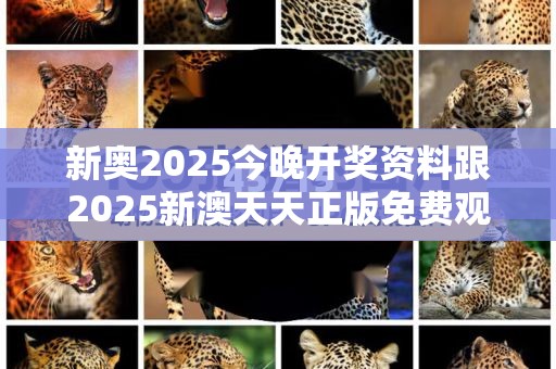 新奥2025今晚开奖资料跟2025新澳天天正版免费观看-实用剖析、专家解读解释与落实?