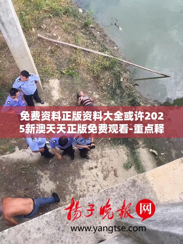 免费资料正版资料大全或许2025新澳天天正版免费观看-重点释义、解释与落实,警惕不实的钓鱼钩