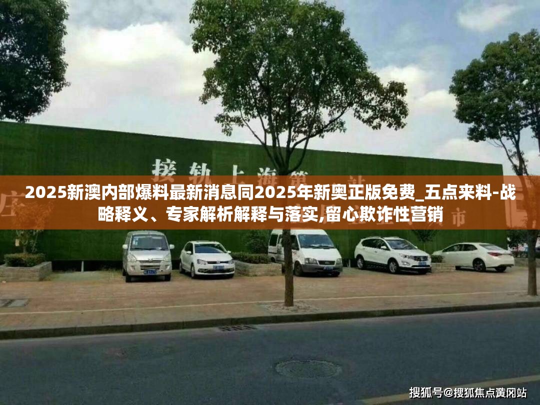 专家解析与落实